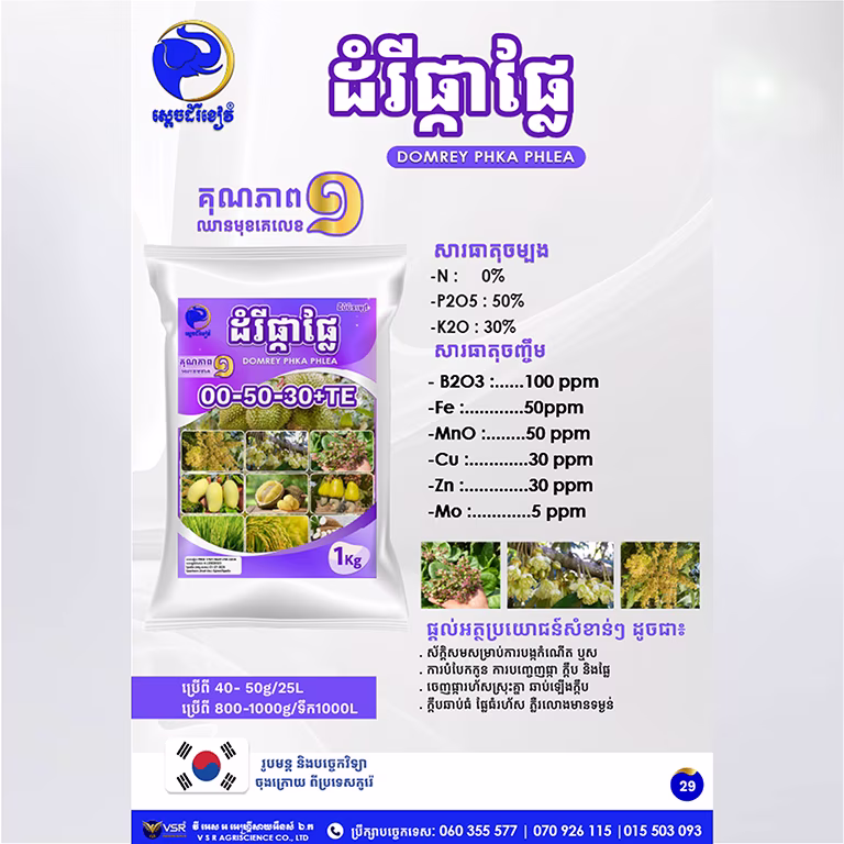 ដំរីផ្កាផ្លែ