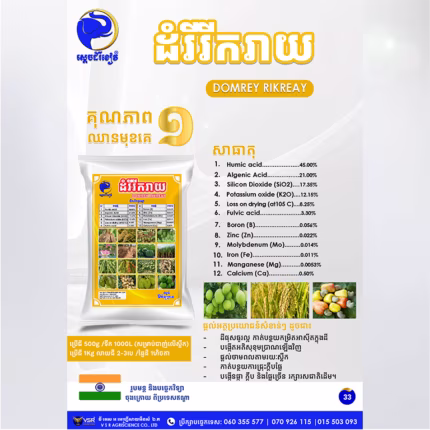 ដំរីរីករាយ