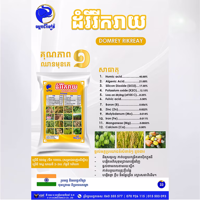 ដំរីរីករាយ
