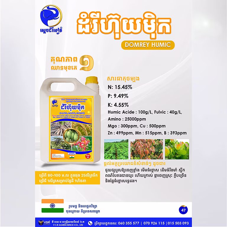 ដំរីហ៊ុយម៉ិក