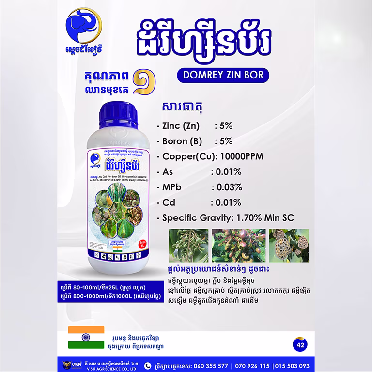 ដំរីហ្សីនប័រ