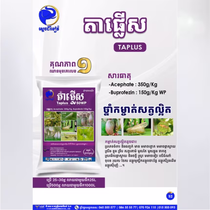 តាផ្លើស