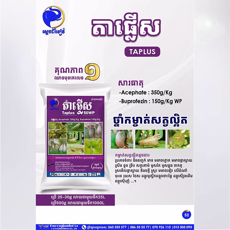តាផ្លើស