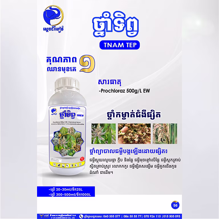 ថ្នាំទិព្វ
