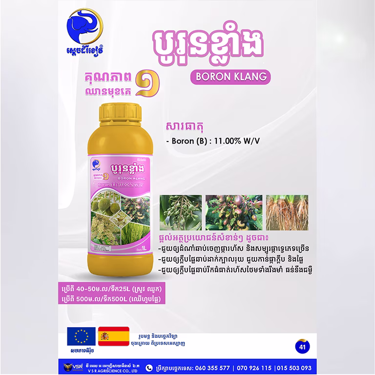 បូរុនខ្លាំង