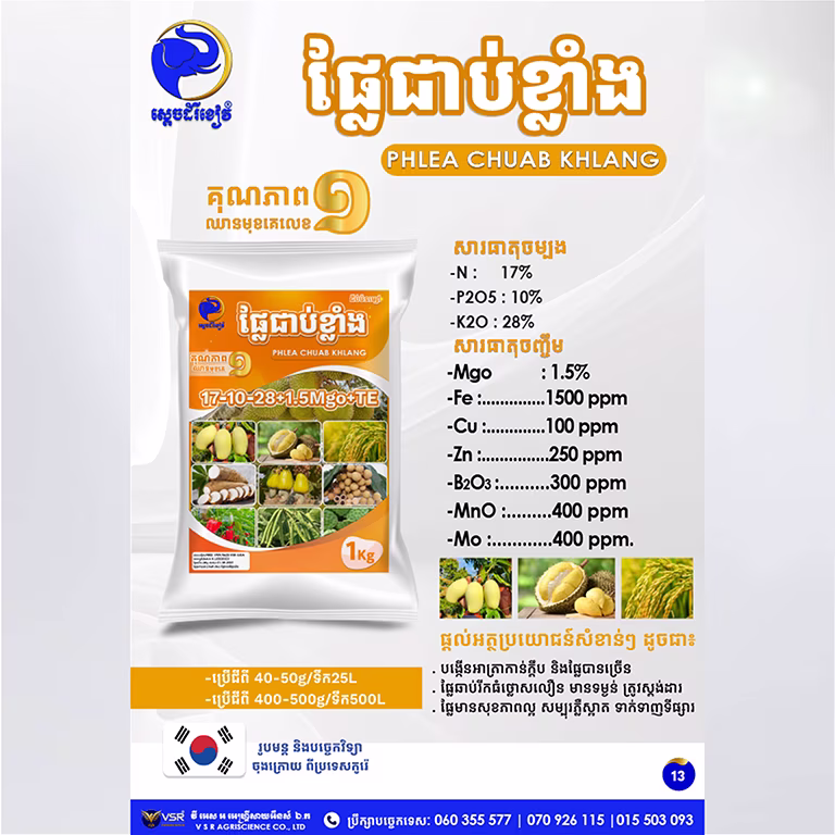 ផ្លែជាប់ខ្លាំង