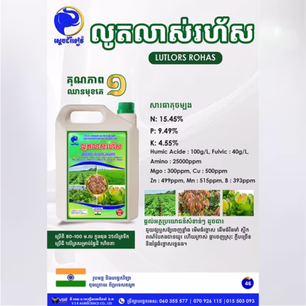លូតលាស់រហ័ស