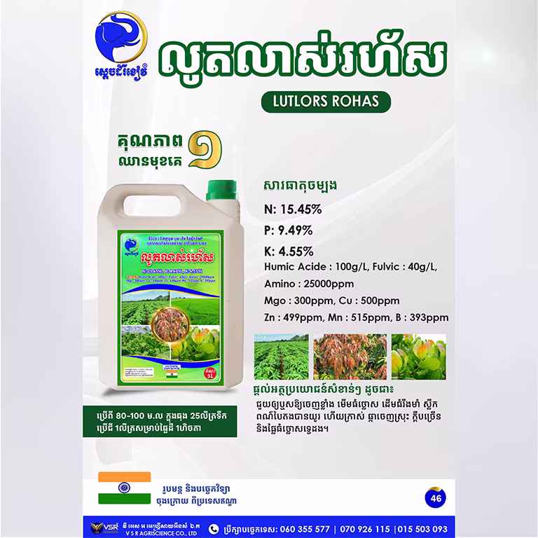 លូតលាស់រហ័ស
