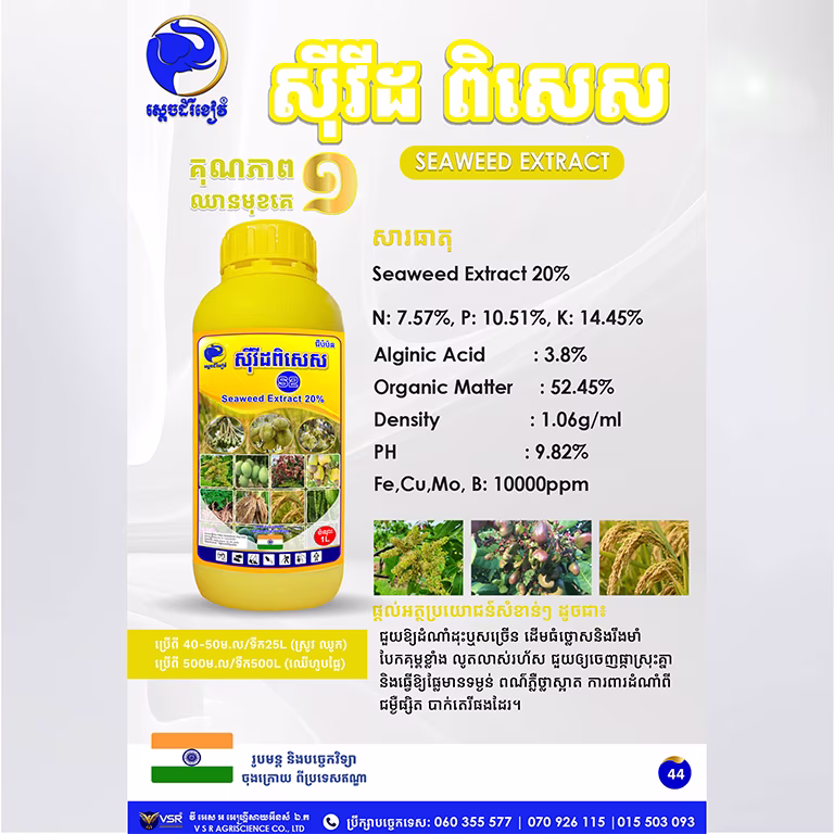 ស៊ីវីដ ពិសេស