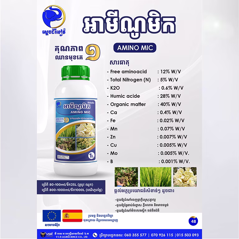 អាម៉ីណូម៉ិក