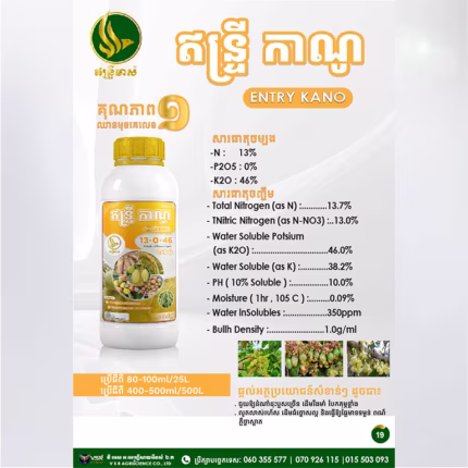 ឥន្ទ្រីកាណូ
