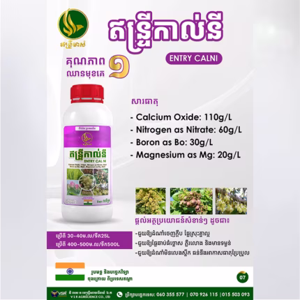 ឥន្ទ្រីកាល់នី