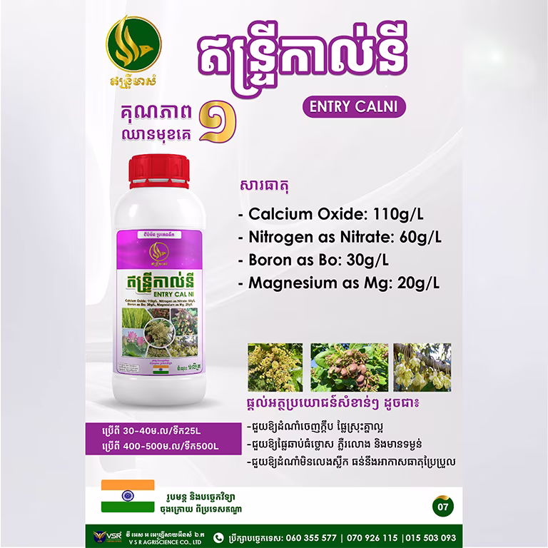 ឥន្ទ្រីកាល់នី