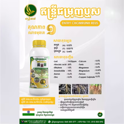 ឥន្ទ្រីជម្រុញឬស