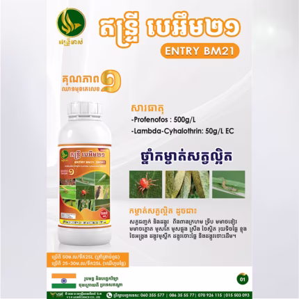 ឥន្ទ្រីបេអឹម២១