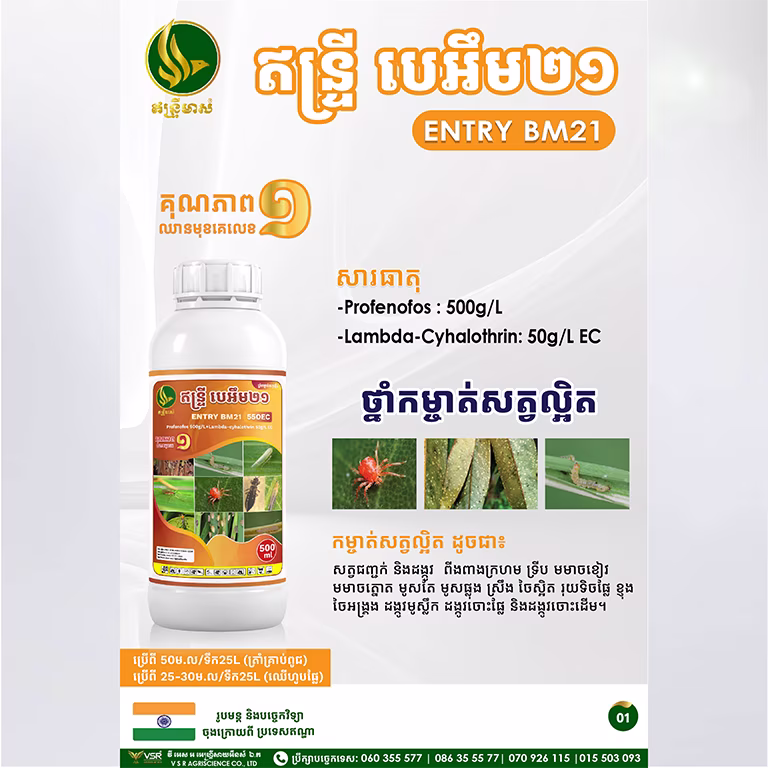 ឥន្ទ្រីបេអឹម២១