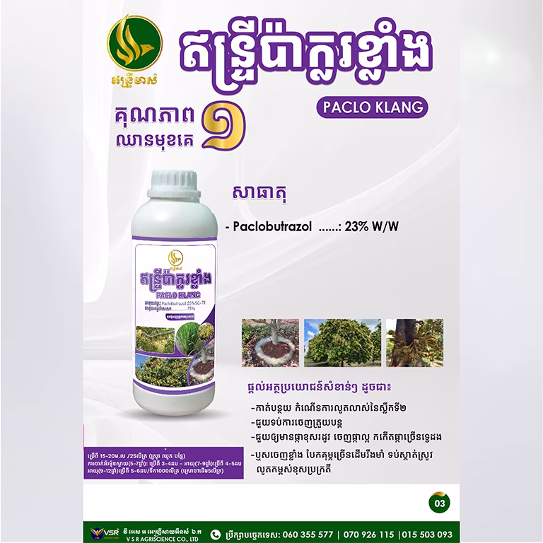 ឥន្ទ្រីប៉ាក្លរខ្លាំង