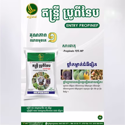 ឥន្ទ្រីប្រូពីនែប