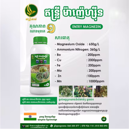 ឥន្ទ្រីម៉ាញ៉េហ្ស៊ីន