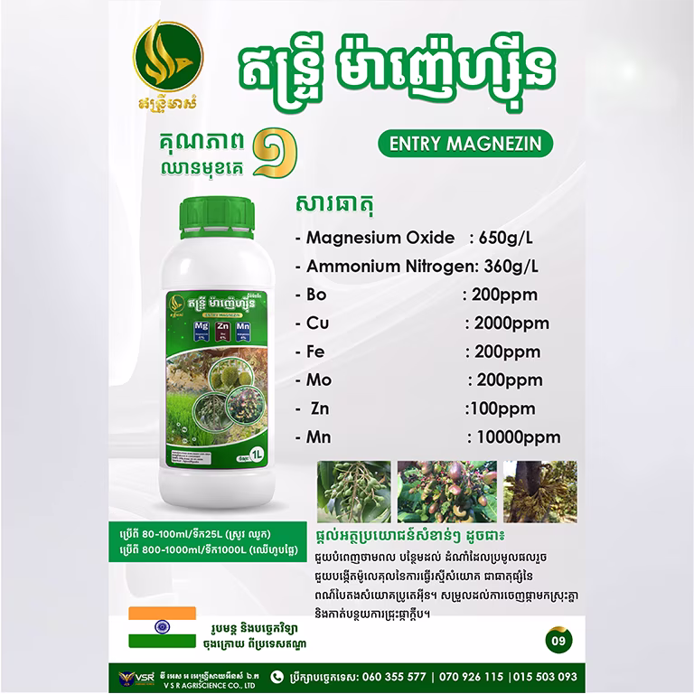 ឥន្ទ្រីម៉ាញ៉េហ្ស៊ីន