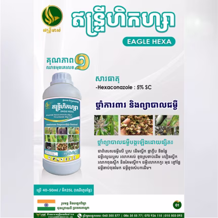 ឥន្ទ្រីហិកហ្សា
