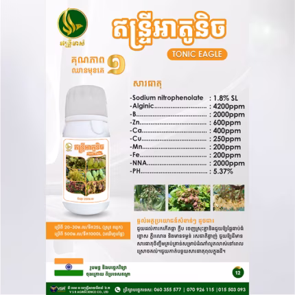 ឥន្ទ្រីអាតូនិច