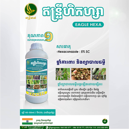 ឥន្ទ្រីហិកហ្សា