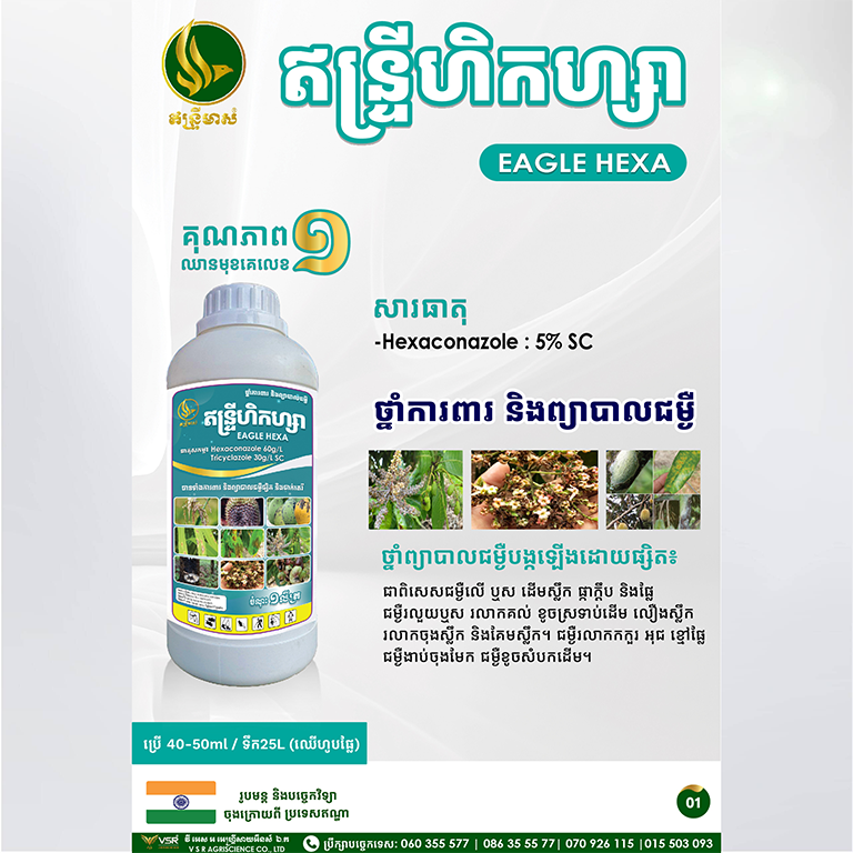 ឥន្ទ្រីហិកហ្សា