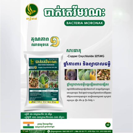 បាក់តេរីមរណៈ