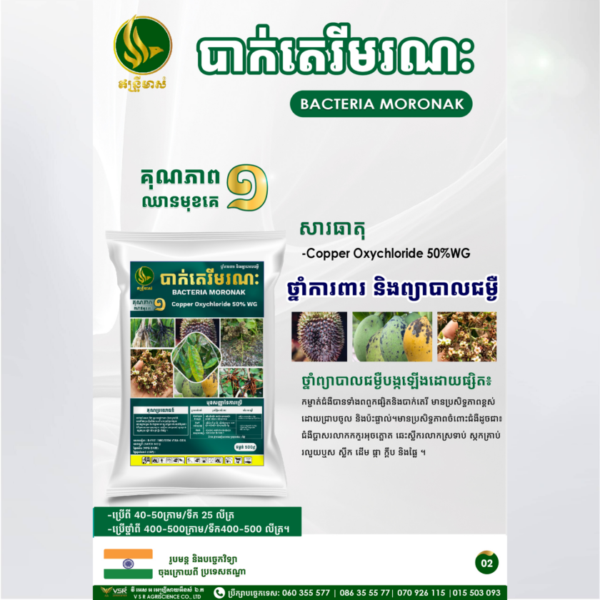 បាក់តេរីមរណៈ