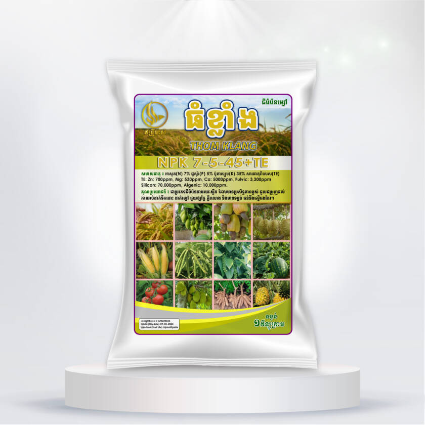 ធំខ្លាំង