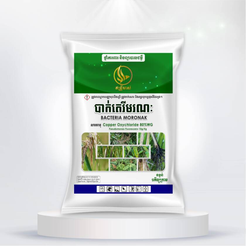 បាក់តេរីមរណៈ