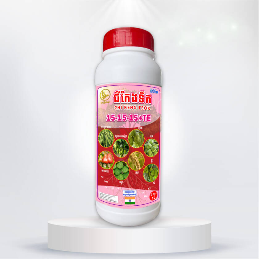 ជីកែងទឹក