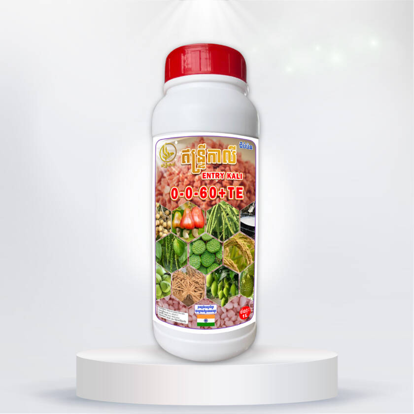 ជីកាលីទឹក