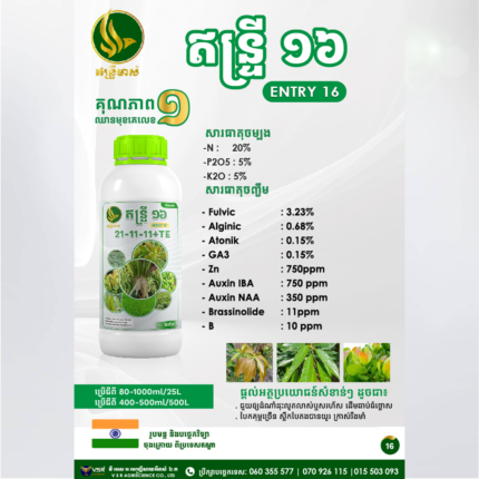 ឥន្ទ្រី១៦