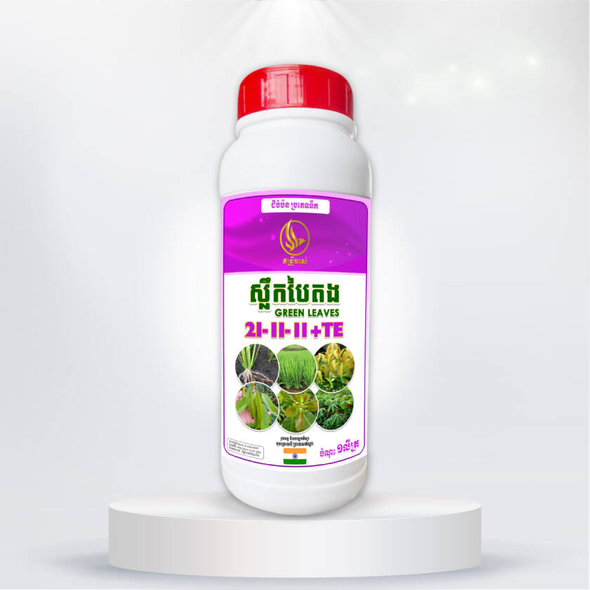 ស្លឹកបៃតង