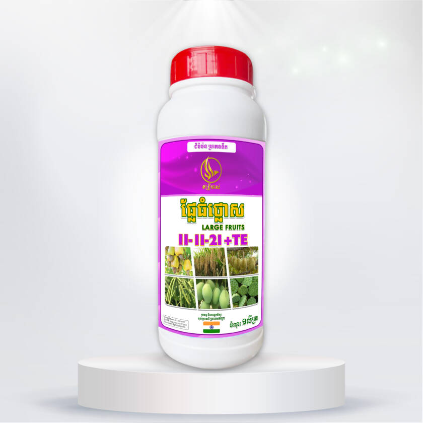 ផ្លែធំថ្លោស