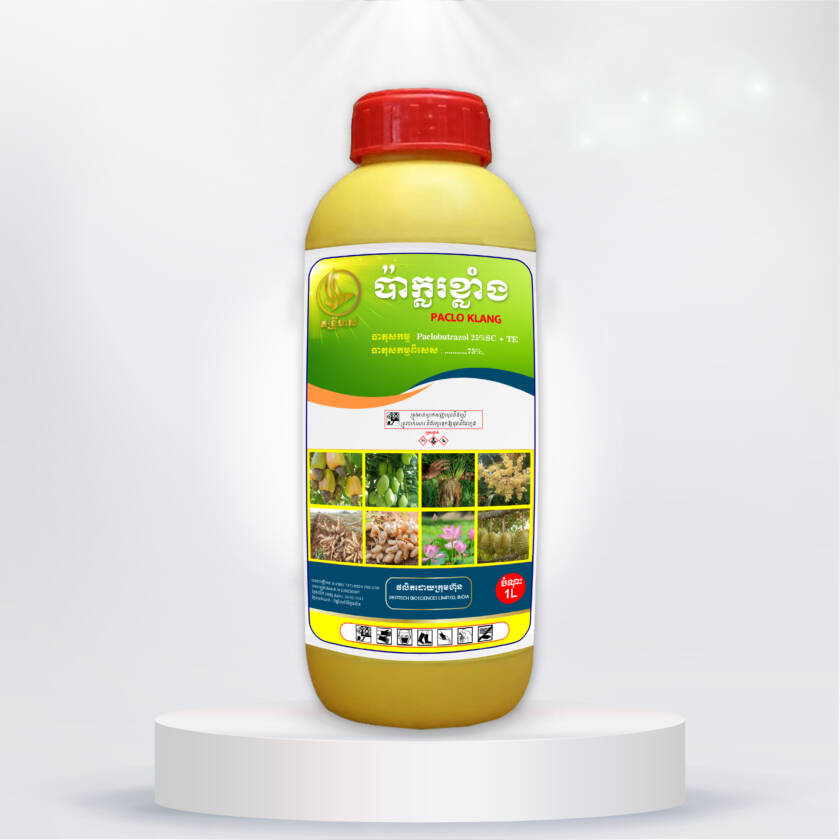 ប៉ាក្លរខ្លាំង