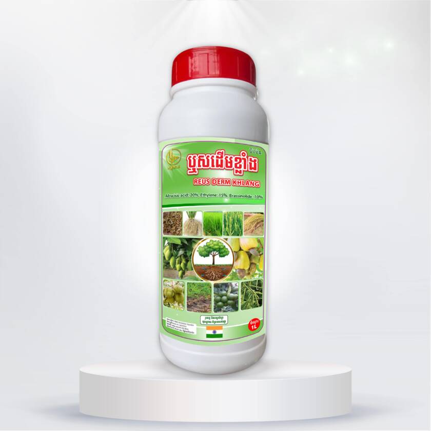 ឬសដើមខ្លាំង