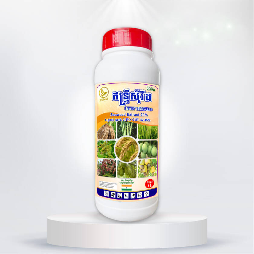 ឥន្រ្ទីស៊ីវីដ