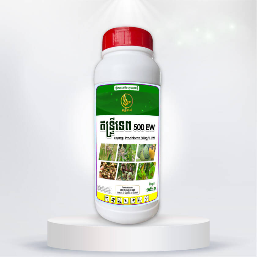 ឥន្រ្ទីទេព