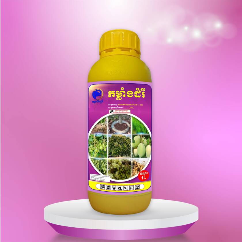 កម្លាំងដំរី