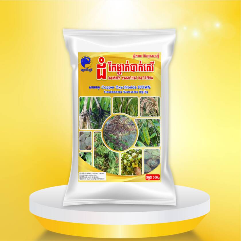 ដំរីកម្ចាត់បាក់តេរី