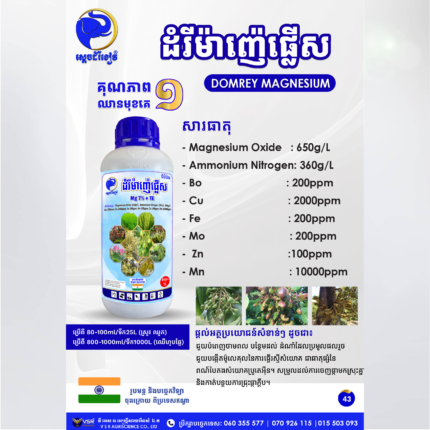 ដំរីម៉ាញ៉េផ្លើស