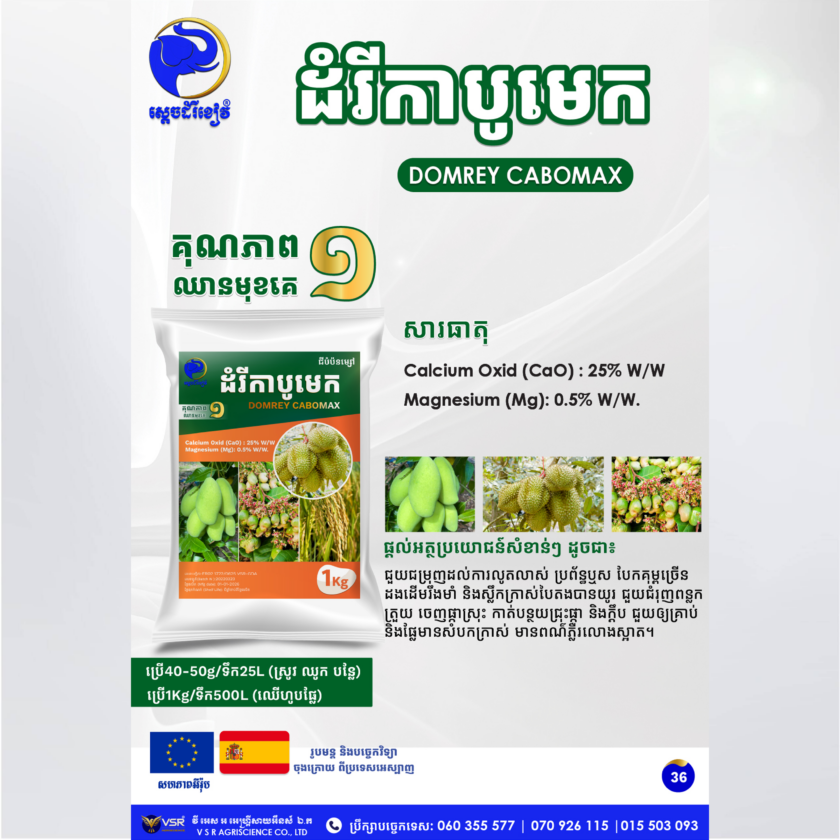 ដំរីកាបូមេក