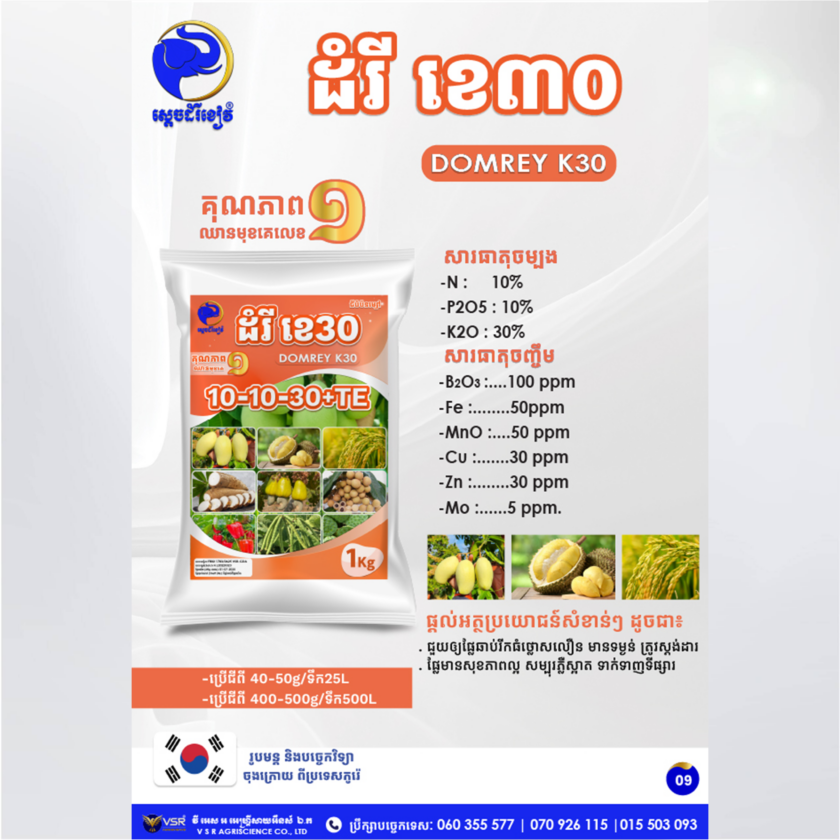 ដំរីខេ៣០