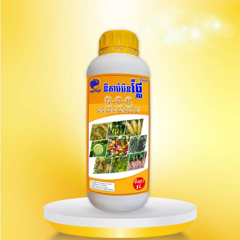 នីតាបំប៉នផ្លែ