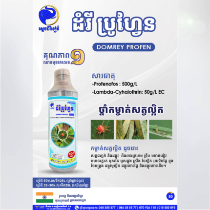 ដំរីប្រូហ្វែន