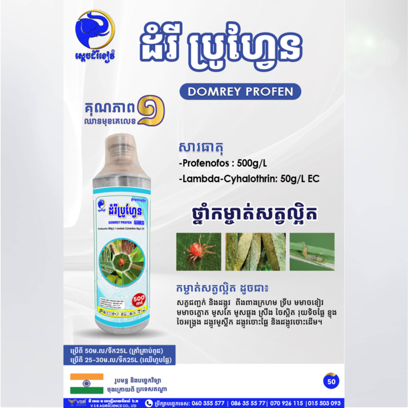 ដំរីប្រូហ្វែន