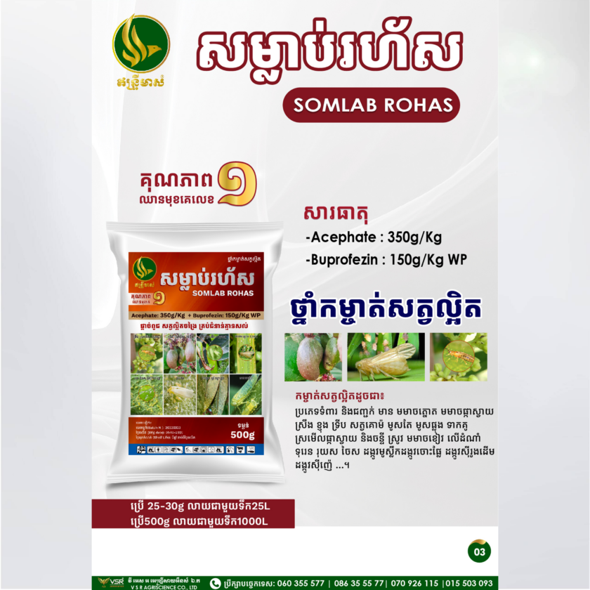 សម្លាប់រហ័ស